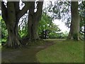 Fort Hill Park, Enniskillen