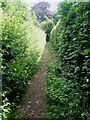 Start of the footpath between Northcroft Lane and The Sun