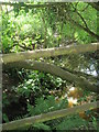 Small stream as seen on the footpath from Northcroft Road  to The Sun