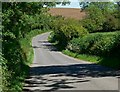 Country lane near Gartree Hill