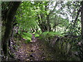 Country Footpath