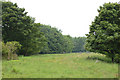 NU1515 : Meadow near Cat Heugh by Andy F