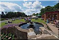 Dragon fly pond, Burnby Hall Gardens