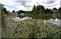 Burnby Hall Gardens lake