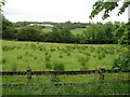 Ballynamullan Townland