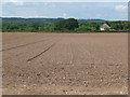SY7489 : West Knighton: field and cottage at Lewell by Chris Downer