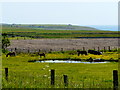 Farmland near Niandt.