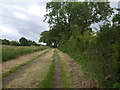 Mill Lane towards the crossing