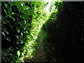 Narrow bridleway behind houses at Ansty