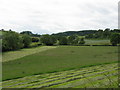 Valley of the Marl Brook