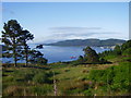 NR9872 : Looking South down the Kyles of Bute, Arran in the distance by John Ferguson