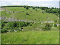 Lay-by view towards farm