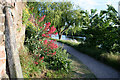 Thames Towpath