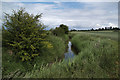 SE9122 : The Haven Drain near Winteringham by David Wright