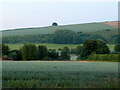 View to Knowle Hill