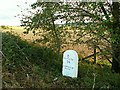 Milestone to the east of Tolpuddle