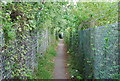 Footpath alongside the railway line (2)