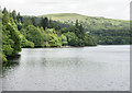 Burrator Reservoir