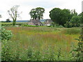 View over wasteland to houses at Slough Green