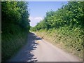 SN1308 : Road towards Black Moor Farm, Ludchurch by welshbabe