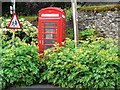 Overgrown Phone box