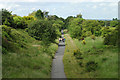 Strolling along a converted railway line (now NCN route 5)