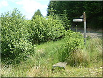 NT1946 : Signpost, West Linton - Peebles Drove Road by Jim Barton