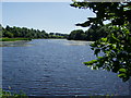 Lagan Canal