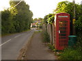 Woodyates: cosmetic telephone box