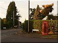 Colehill: postbox № BH21 127 and phone, Sandy Lane