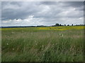 Fields to Faxfleet Grange