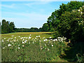 Footpath to St Katharine