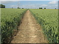 Footpath to Throwley Forstal