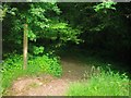 Footpath, Top Carpark, Colby Lodge - National Trust Gardens