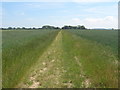 Footpath to Littles Manor Farm