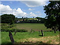 View north from Manordeifi old church