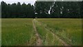 Farm track across field near Liphook