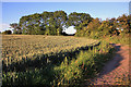 Wheatfield, and footpath to Common Lane