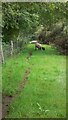 Small sheepfold at the end of Longmoor Road