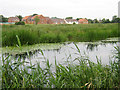 ?Lakeview Cottages?, development near Huntworth