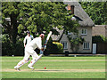 TL4832 : Cricket at Clavering by John Sutton