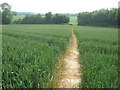 Footpath to Goldups Lane