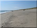 S8907 : Beach Scene by kevin higgins