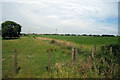 Fields off Hailsham Road