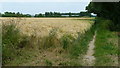 Bosham - Footpath