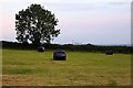 Hayfield near Boars Hill