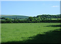 2009 : Near Wing Farm looking south