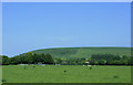 2009 : Looking east near Wing Farm