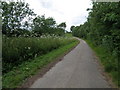 TL1093 : Green hill road towards Elton by Michael Trolove