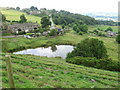 Pond at Thurstonland